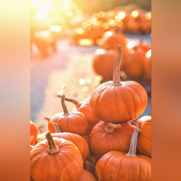 🌿 Meet Me  🌿 - Picture 15 of 16